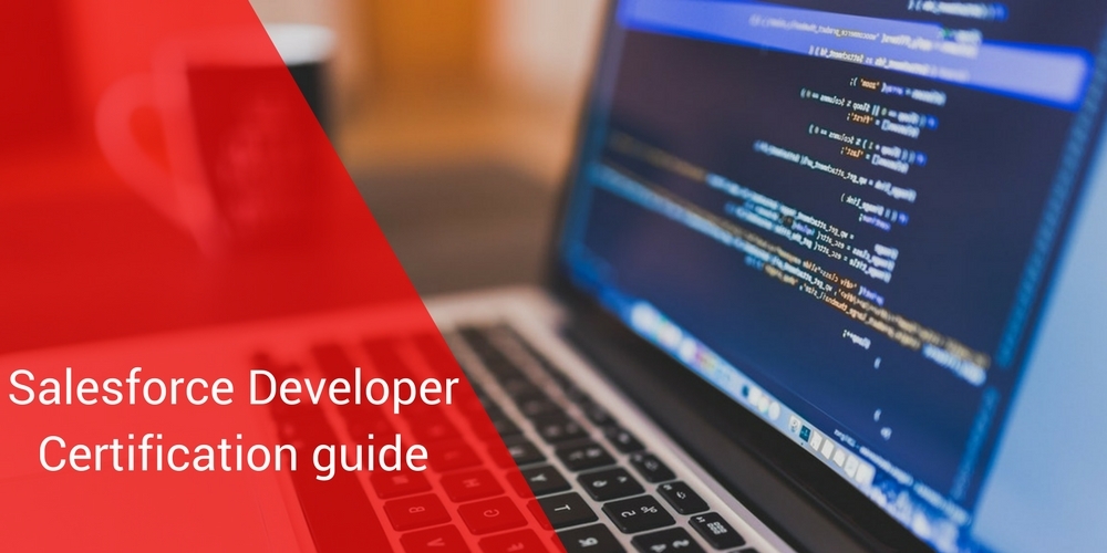 Salesforce Developer Certification training guide | Mason Frank